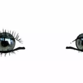 Pair Of Girl Eyes 3d model