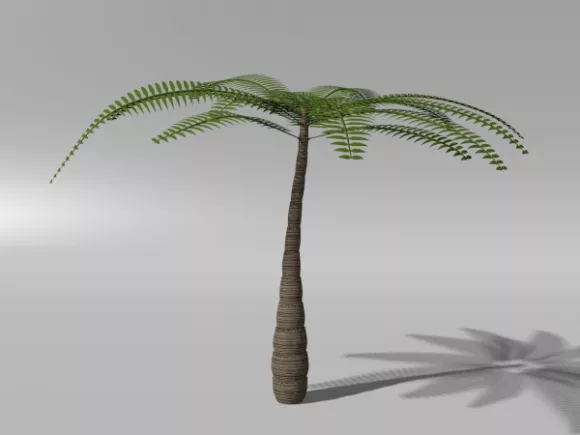 Simple Palm Tree Tropical Tree 3d model Simple Palm Tree Tropical Tree 3d model