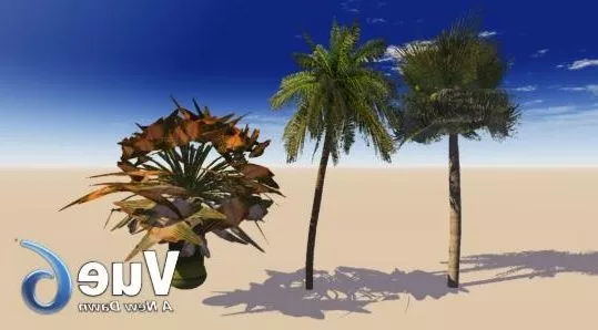 Low Poly Coconut Tree 3d model