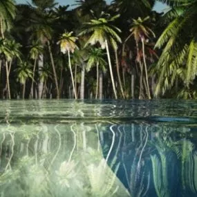 Palm Tree Forest Island 3d model
