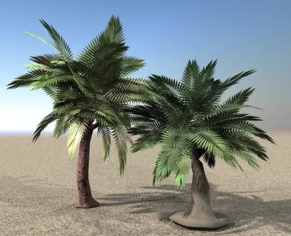 Arbre Tree 3d model