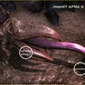 Paragalis Shader Monster 3d model