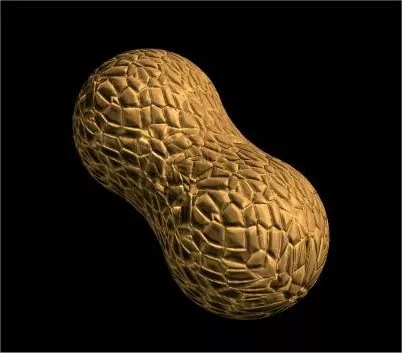 Slice Toast Bread Food 3d model