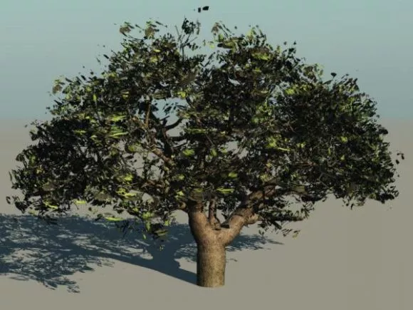 Tropical Desert Oasis Landscape With Coconut 3d model