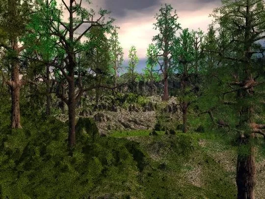 Forest Tree Set 3d model