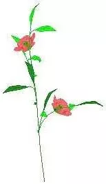 Fern Plants With Red Flower 3d model