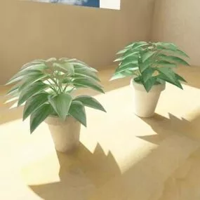 Two Potted Plant 3d model