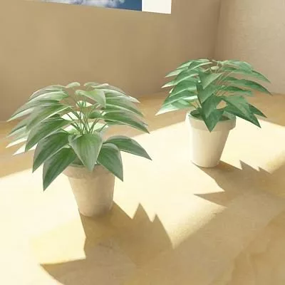 Two Potted Plant 3d model Two Potted Plant 3d model