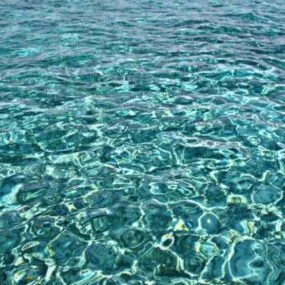 Pool Water 3d model