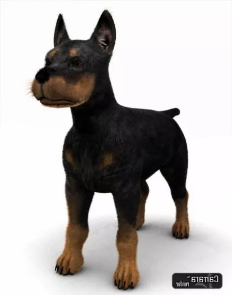 Black Puppy Dog 3d model Black Puppy Dog 3d model