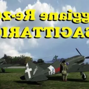 Military Aircraft Reggiane 3d model