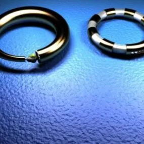Silver Ring Set 3d model