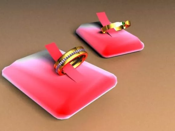 Double Ring Shape Decoration 3d model