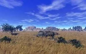 Savanne Terrain Landscape 3d model