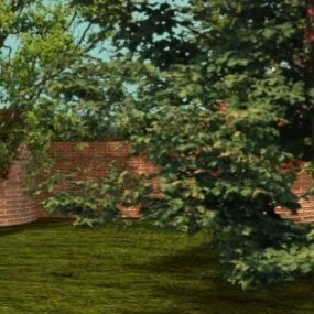 Garden Landscape Broadleaf Tree 3d model