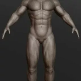 Human Male Body 3d model