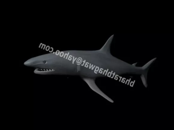 Shark Sea Robot 3d model