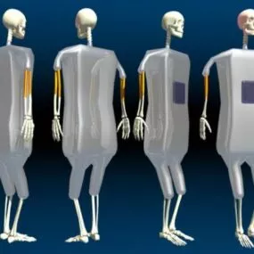 Futuristic Cyborg Skeleton 3d model