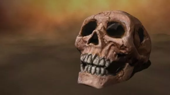 Human Skull With Teeths 3d model Human Skull With Teeths 3d model