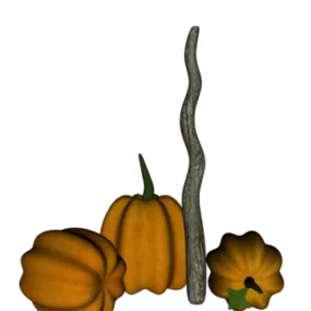 Pumpkins Halloween Holiday 3d model