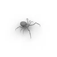 Spider Lowpoly Animal 3d model