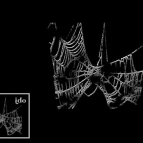 Spider Web 3d model