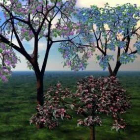Spring Trees Broadleaf Tree 3d model