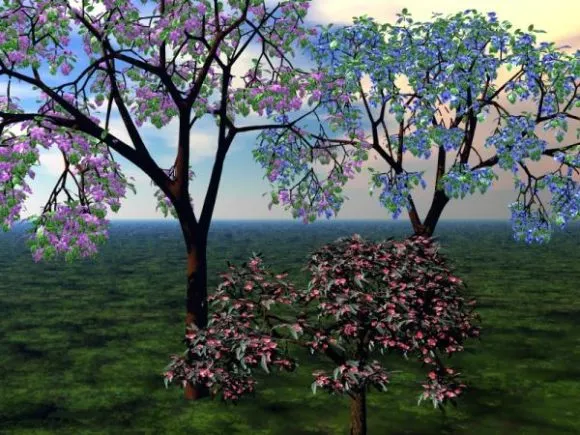 Spring Trees Broadleaf Tree 3d model Spring Trees Broadleaf Tree 3d model