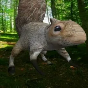 Lowpoly Squirrel In Jungle 3d model