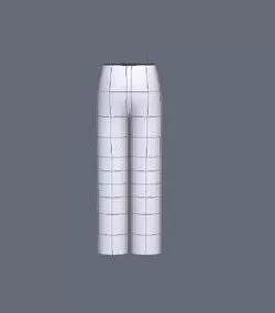 Basic Mesh Pant For David 3d model