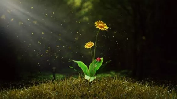 Potted Plant With Small Green Leaves 3d model