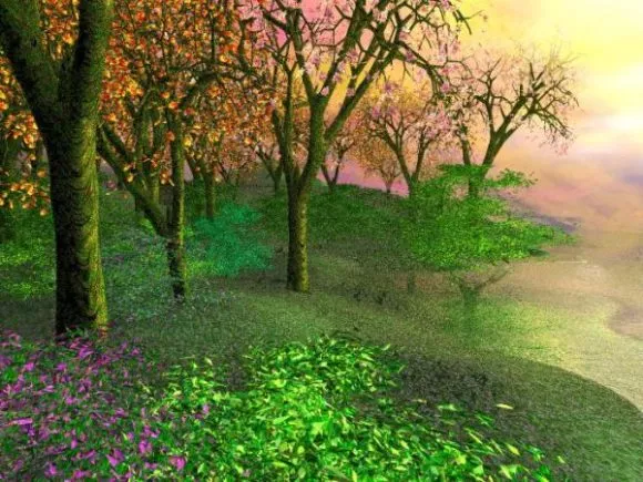 Small Tree Broadleaf 3d model
