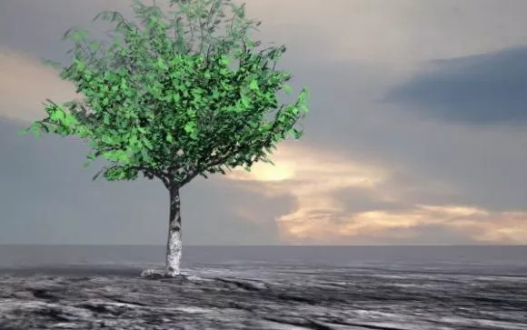 Pine Tree, Low Poly Tree 3d model