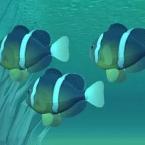 Sea Fish Kumanos 3d model