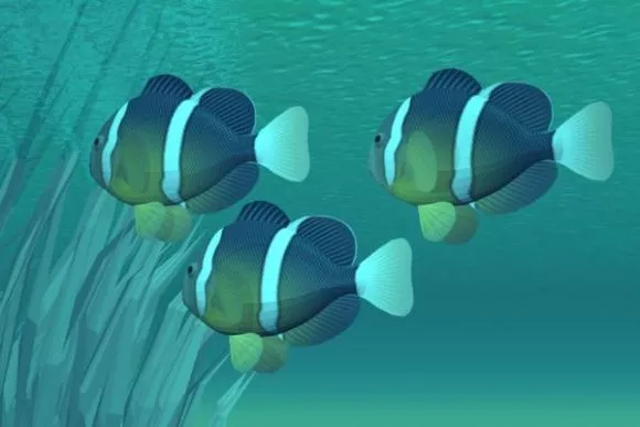 Nature Cave Bits 3d model