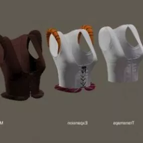 German Dirndle Traditional Fashion 3d model