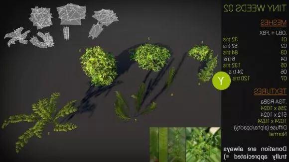 Tiny Weed Plant 3d model Tiny Weed Plant 3d model
