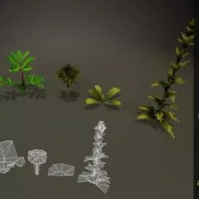 Small Plant Tiny Weed Plant 3d model