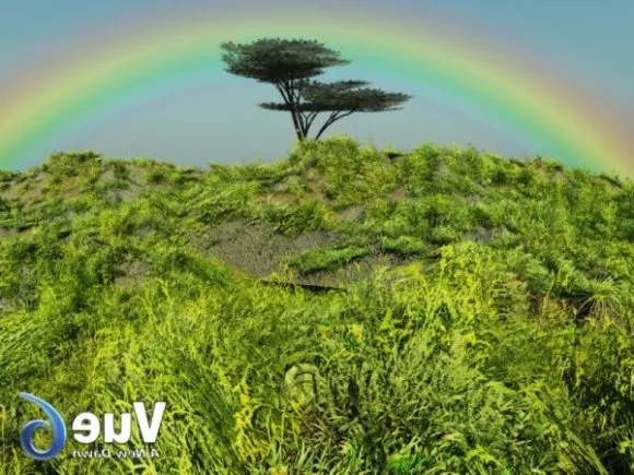 Jungle Forest Landscape 3d model