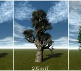 Broadleaf Tree Pack Thick Log 3d model
