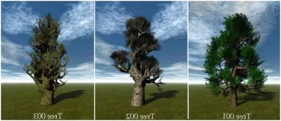 Broadleaf Tree Pack Thick Log 3d model Broadleaf Tree Pack Thick Log 3d model