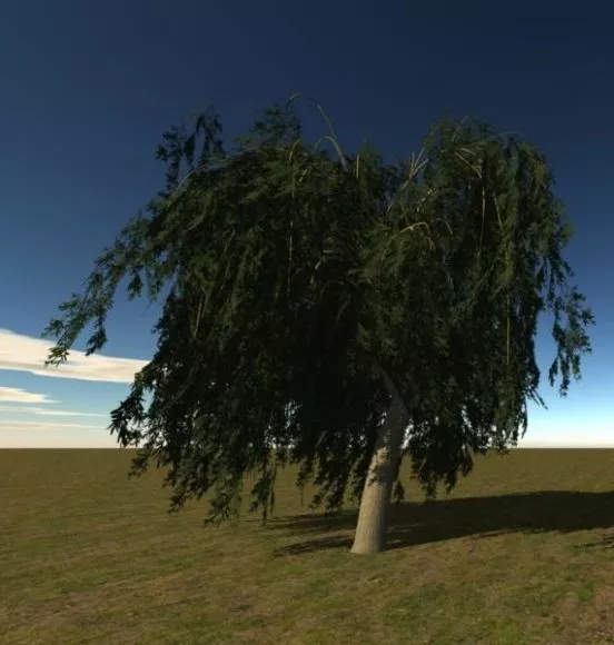 Single Broadleaf Tree 3d model Single Broadleaf Tree 3d model