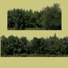 Trees Bushes 3d model