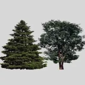 European Broadleaf Tree 3d model