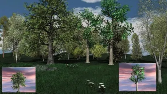 Small Tree Broadleaf 3d model