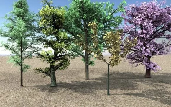 Small Maple Tree, Garden Tree 3d model