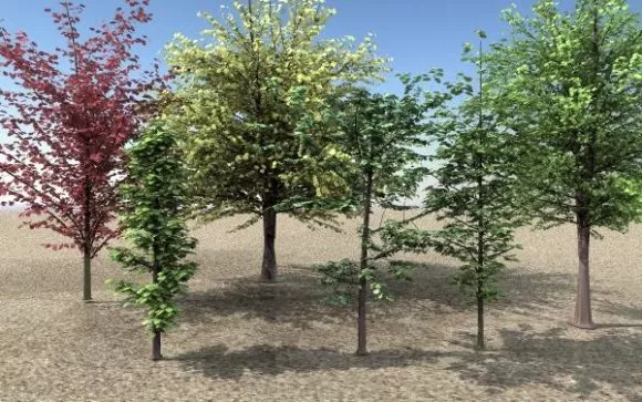 Various Type Of Trees 3d model Various Type Of Trees 3d model