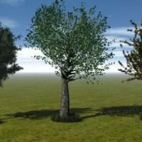 Trees Pack Tree Collection 3d model