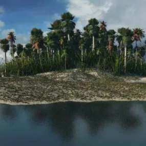 Tropical Island Landscape 3d model