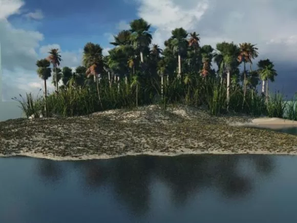Realistic Tree Forest 3d model